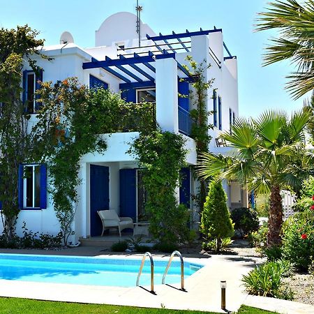 Latchi Beach Front Villa - Private Heated Pool - Amazing Uninterrupted Sea Views Polis Exterior foto